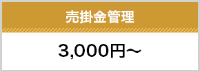 売掛金管理3000円～